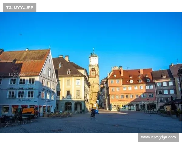 德国足球派别与竞争格局深度分析与发展趋势探讨